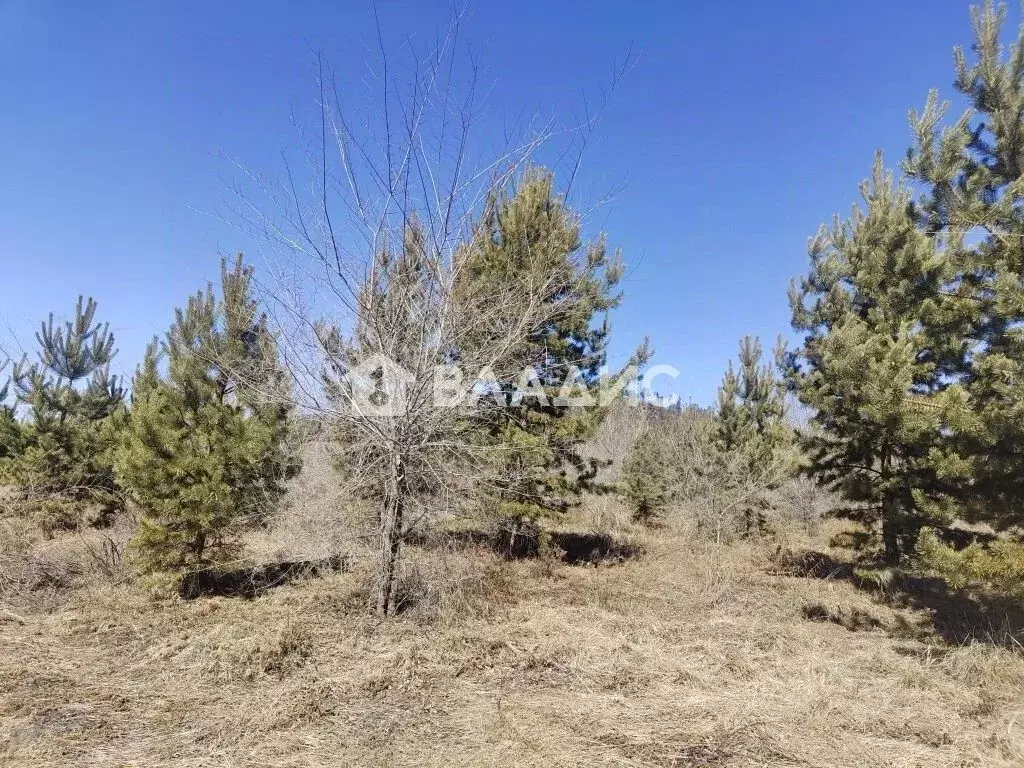 Участок в Бурятия, Улан-Удэ Октябрьское ДНТ, ул. Петербужская, 135 ... - Фото 1