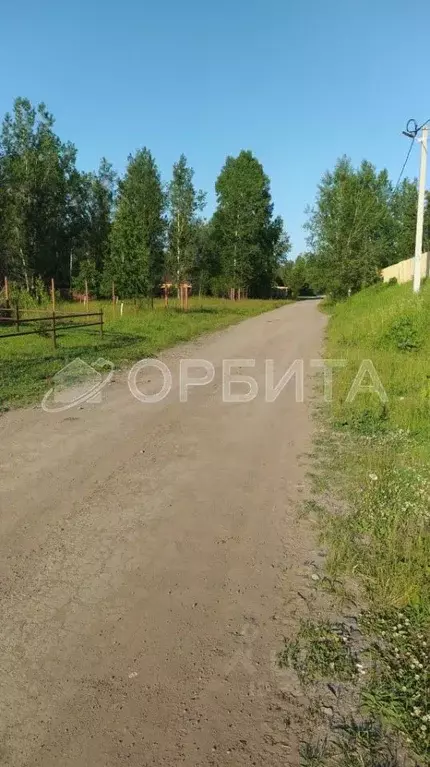 Участок в Тюменская область, Тюменский муниципальный округ, Горячий ... - Фото 1