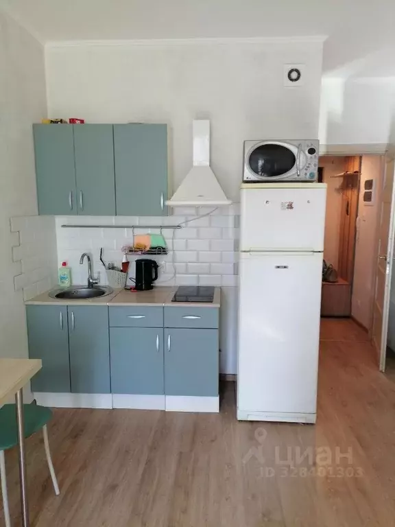 Студия Санкт-Петербург ул. Плесецкая, 20к1 (24.3 м) - Фото 1