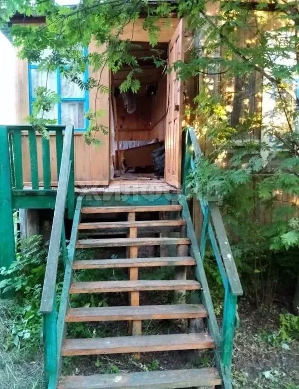 Дом в Новосибирская область, Ордынский район, д. Абрашино Береговая ... - Фото 1