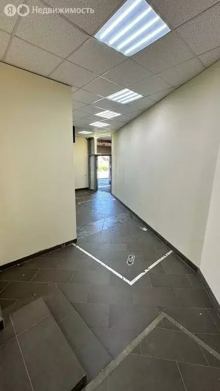 Помещение свободного назначения (270 м) - Фото 0