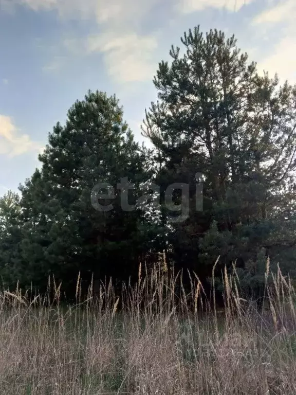 Дом в Липецкая область, Грязинский район, Плехановский сельсовет, с. ... - Фото 2