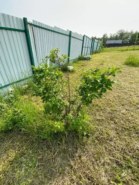 Участок в Тульская область, Тула городской округ, с. Торхово  (12.0 ... - Фото 1
