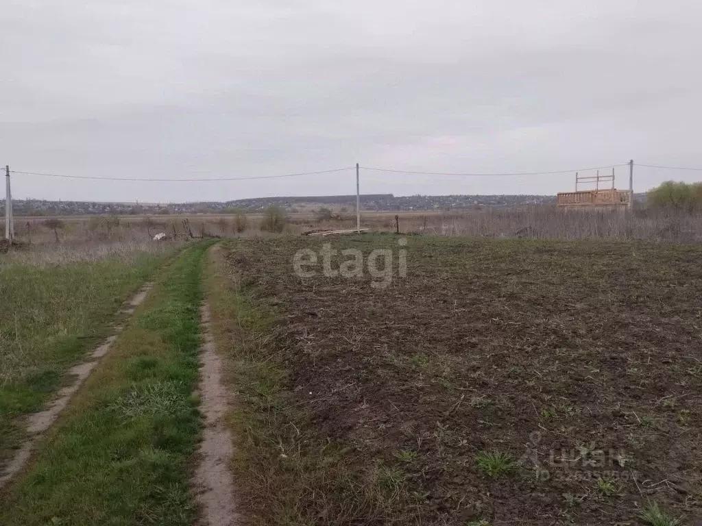 Участок в Воронежская область, Рамонский район, Новоживотинновское ... - Фото 1