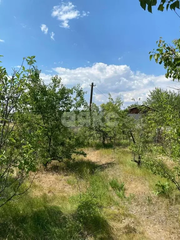 Участок в Волгоградская область, Волгоград Наука СНТ, ул. Тополевая ... - Фото 1