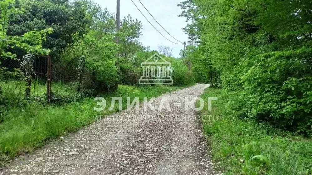 Участок в Краснодарский край, Туапсинский муниципальный округ, с. ... - Фото 1