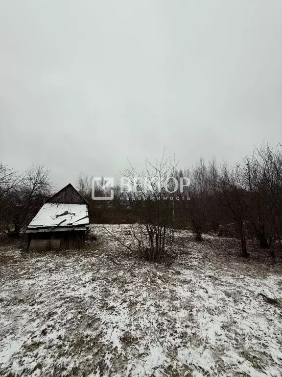 Участок в Костромская область, Костромской район, Бакшеевское с/пос, ... - Фото 1