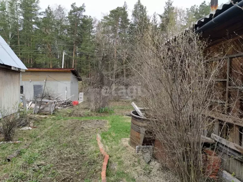 Дом в Свердловская область, Екатеринбург Родонит СНТ, 88 (20 м) - Фото 1