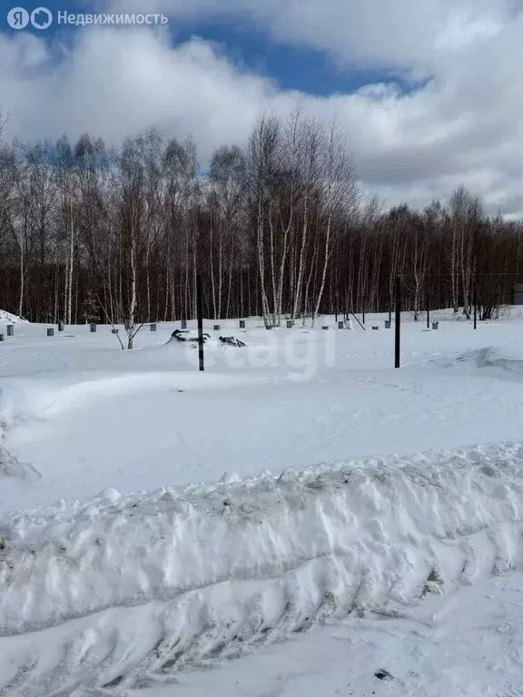Дом в Томский район, деревня Новомихайловка, ДНП Кедры, Самоцветная ... - Фото 0