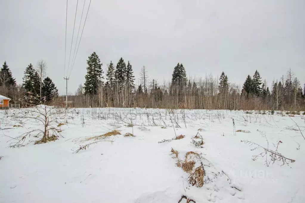 Участок в Московская область, Клин городской округ, Акатово-Парк кп ... - Фото 1