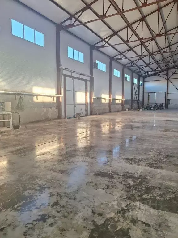 Склад в Тюменская область, Тюмень ул. Щербакова, 207 (1250 м) - Фото 1