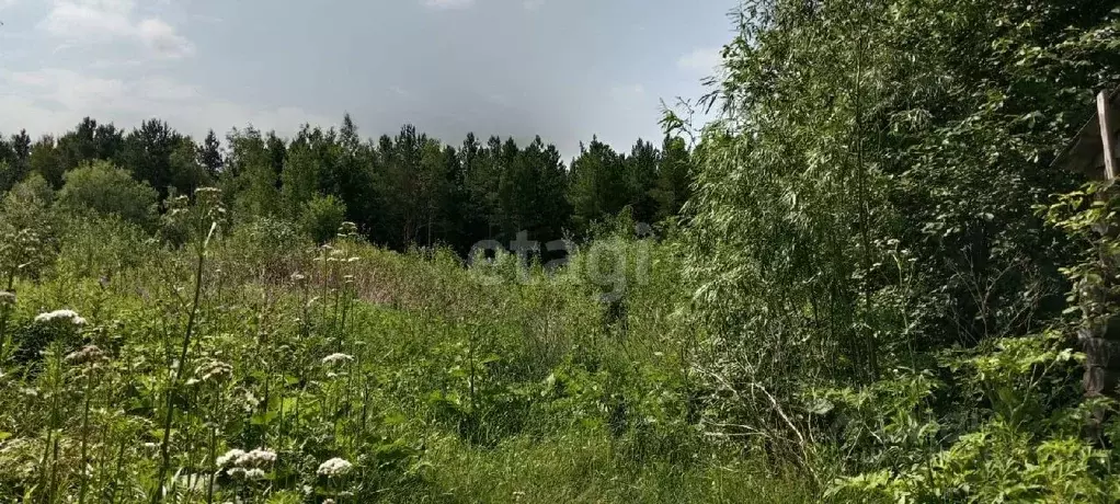 Участок в Ханты-Мансийский АО, Сургутский район, Тундрино с/пос, с. ... - Фото 0