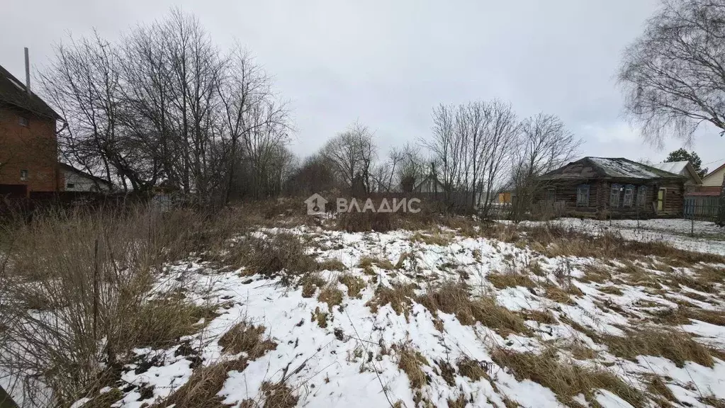 Участок в Московская область, Луховицы муниципальный округ, д. Барсуки ... - Фото 1