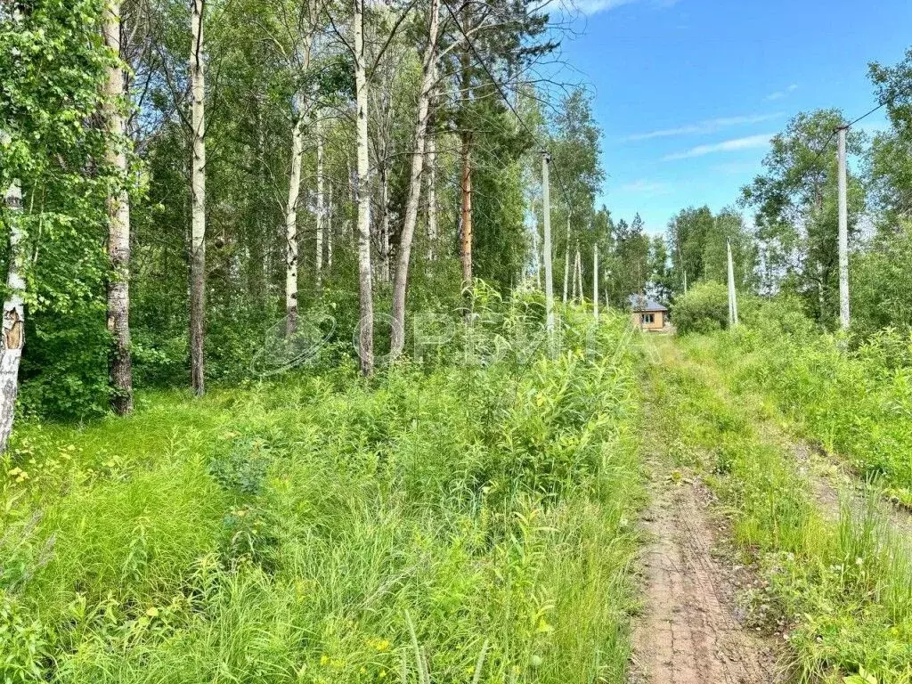 Участок в Тюменская область, Тюменский район, д. Зырянка  (10.5 сот.) - Фото 1
