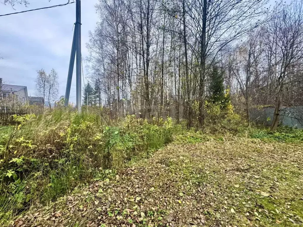 Участок в Владимирская область, Петушинский муниципальный округ, д. ... - Фото 1