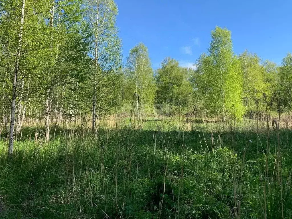 Участок в Свердловская область, Екатеринбург ВИЗ жилрайон,  (12.1 ... - Фото 0