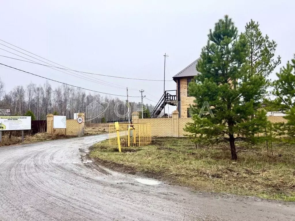 Участок в Тюменская область, Нижнетавдинский район, Березка СНТ  (7.8 ... - Фото 1