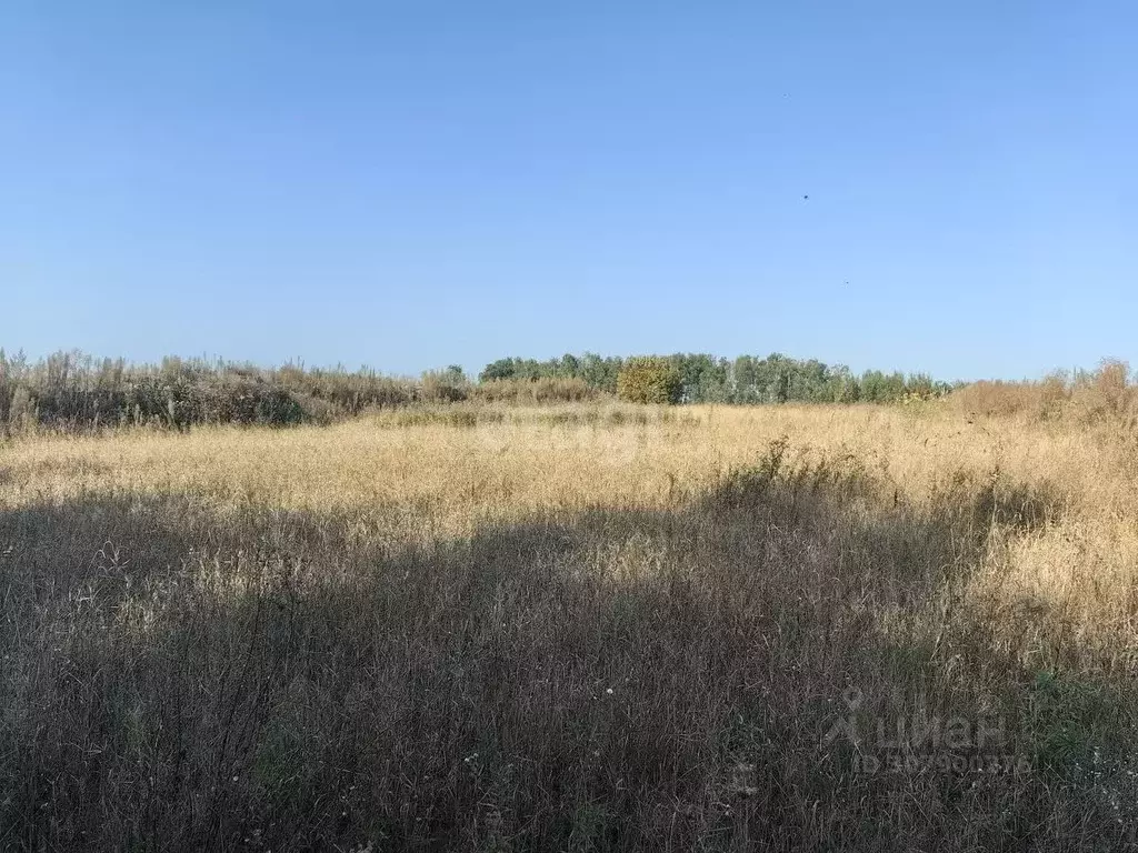 Участок в Брянская область, Дубровский район, Сещинское с/пос, д. ... - Фото 0