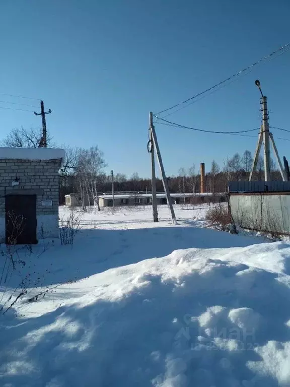 Помещение свободного назначения в Хабаровский край, Хабаровский район, ... - Фото 1