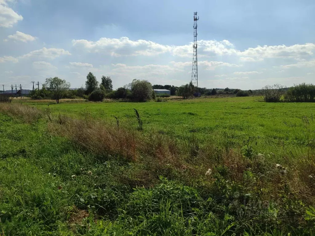 Участок в Московская область, Орехово-Зуевский городской округ, д. ... - Фото 1