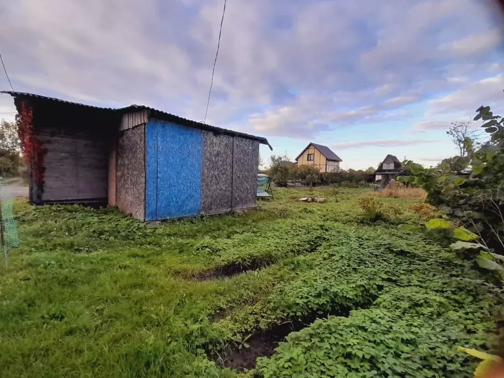 Дом в Новгородская область, Новгородский район, Панковское городское ... - Фото 1