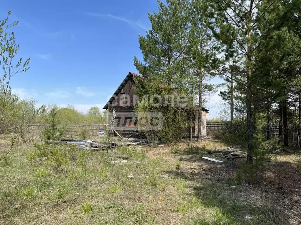 Участок в Иркутская область, Иркутск Родник СНТ, ул. Ягодная (17.0 ... - Фото 2
