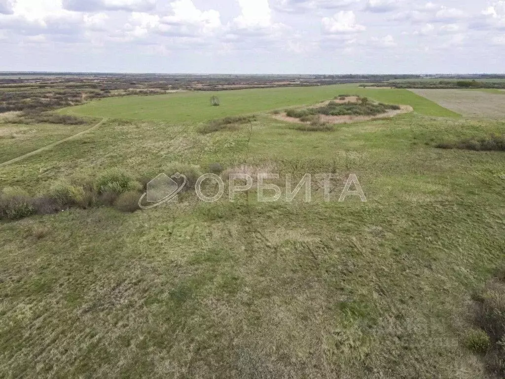 Участок в Тюменская область, Нижнетавдинский район, с. Носырево  ... - Фото 1