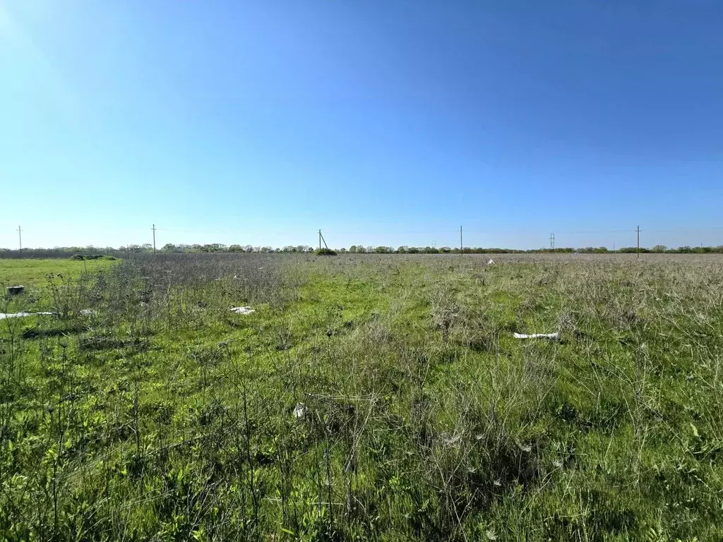 Участок в Краснодарский край, Северский район, Ильское городское ... - Фото 0