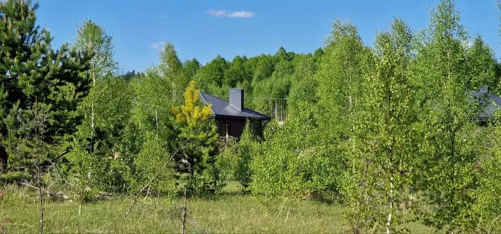 Участок в Татарстан, Лаишевский район, с. Сокуры, Новые Сокуры - 2 кп ... - Фото 1