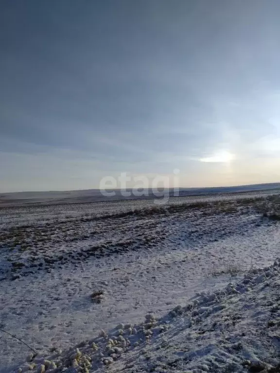 Участок в Оренбургская область, Оренбургский район, пос. Ленина ул. ... - Фото 0