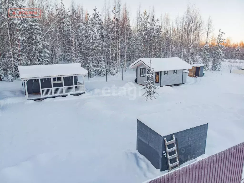 Дом в Карелия, Прионежский район, Нововилговское с/пос, Ветеран-1 СНТ  ... - Фото 1