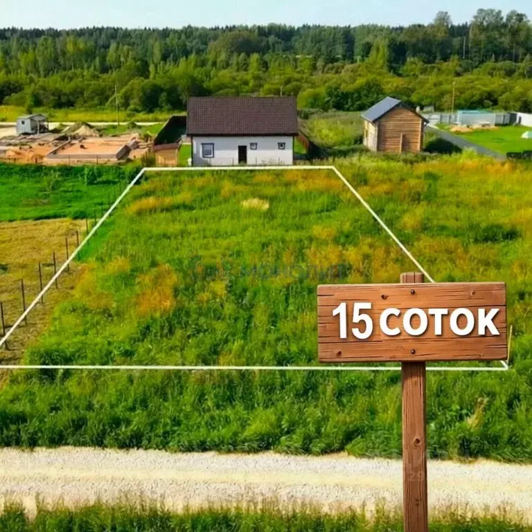 Участок в Нижегородская область, с. Безводное ул. Березовая (15.0 ... - Фото 1