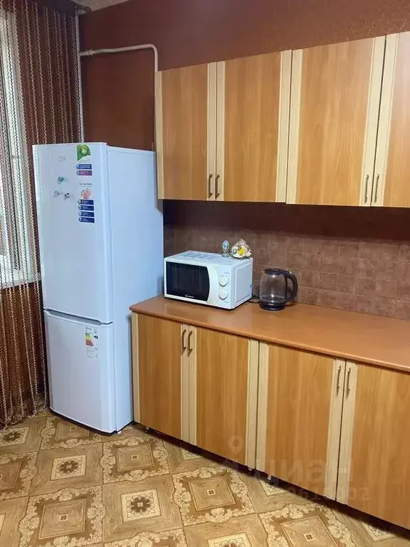 1-к кв. Пензенская область, Пенза ул. Пушкина, 45 (45.0 м) - Фото 2