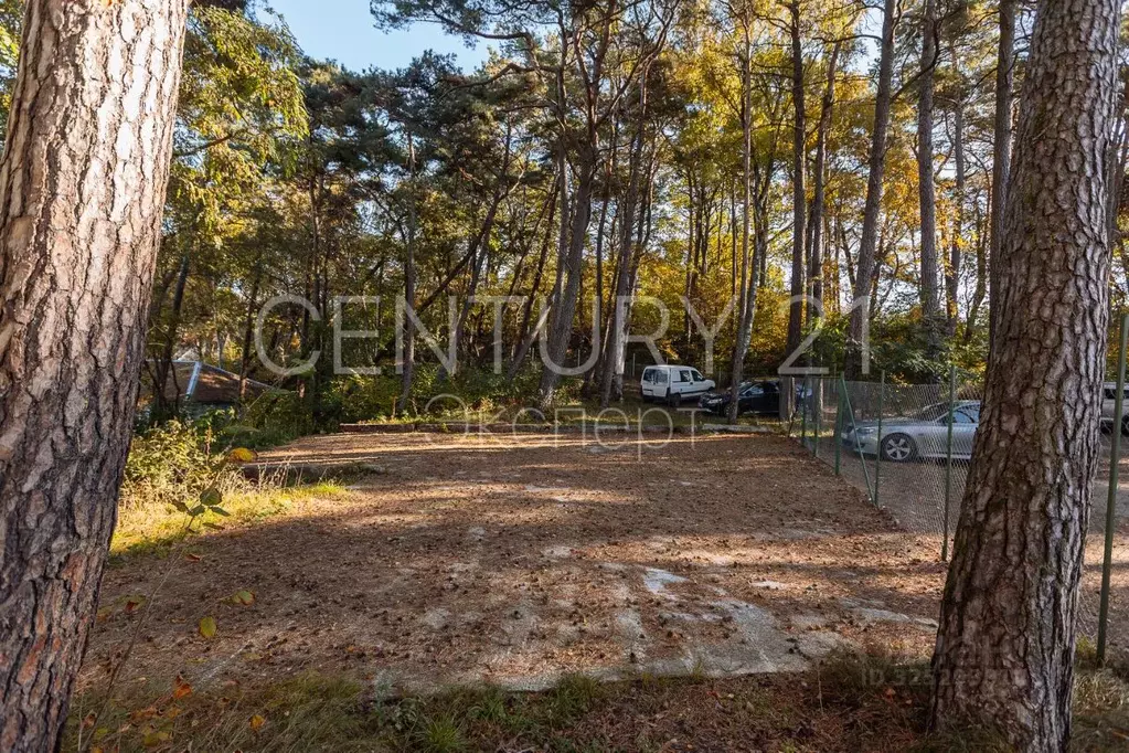 Участок в Калининградская область, Светлогорск Балтийская ул., 25А ... - Фото 1