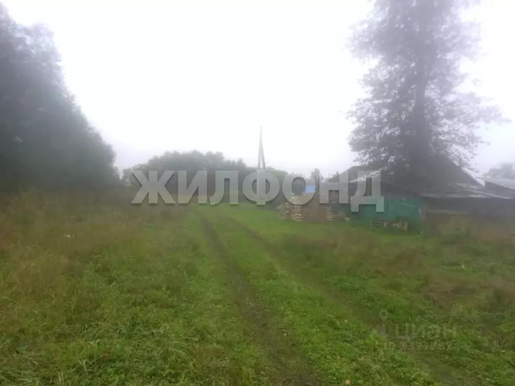 Дом в Новосибирская область, Колыванский район, с. Боярка ул. ... - Фото 2