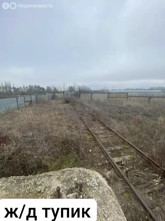 Участок в село Верхнерусское, Батайская улица, 33 (270 м) - Фото 1