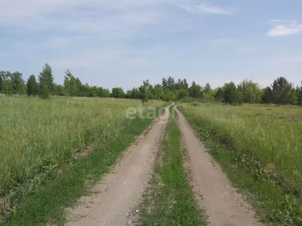 Участок в Алтайский край, Бийский район, Зверовод СДТ ул. Молодежная ... - Фото 0