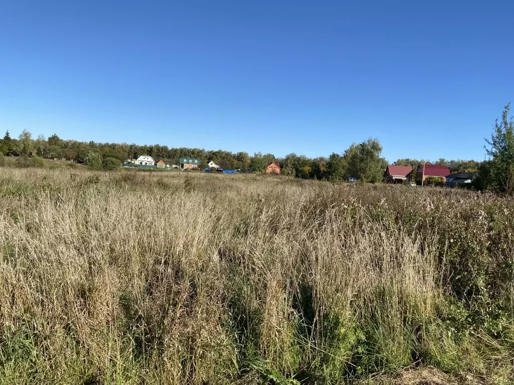 Участок в Московская область, Луховицы муниципальный округ, д. ... - Фото 1