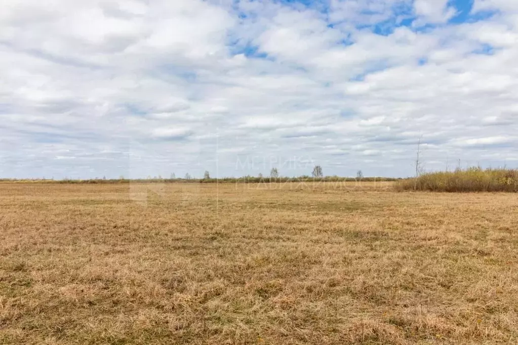 Участок в Тюменская область, Тюмень  (6.53 сот.) - Фото 2