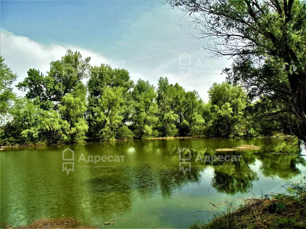 Участок в Волгоградская область, Среднеахтубинский район, Клетское ... - Фото 1