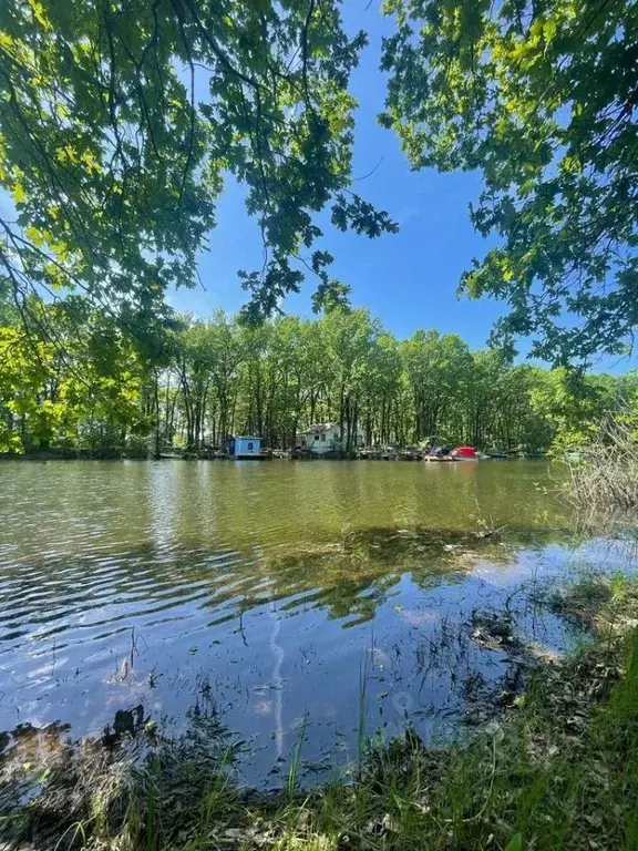 Участок в Саратовская область, Воскресенский район, Елшанское ... - Фото 0