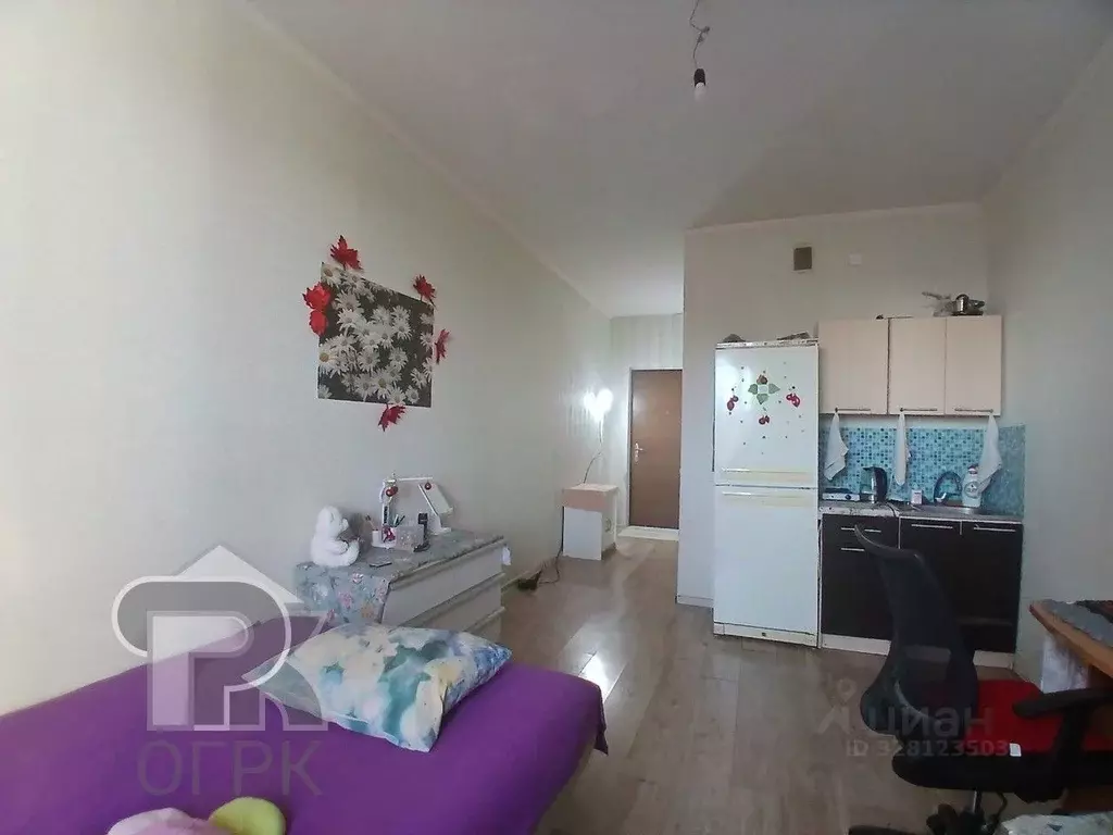 Студия Московская область, Балашиха ш. Косинское, 5/7 (25.5 м) - Фото 2