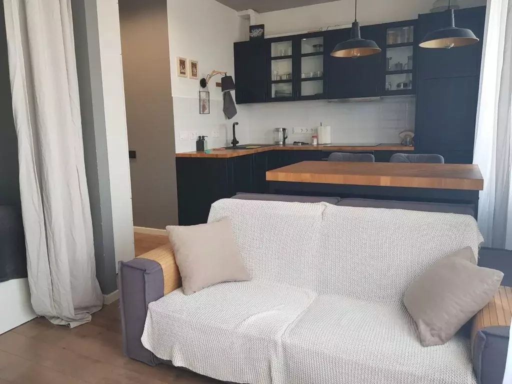 Студия Московская область, Мытищи городской округ, д. Бородино ул. ... - Фото 1