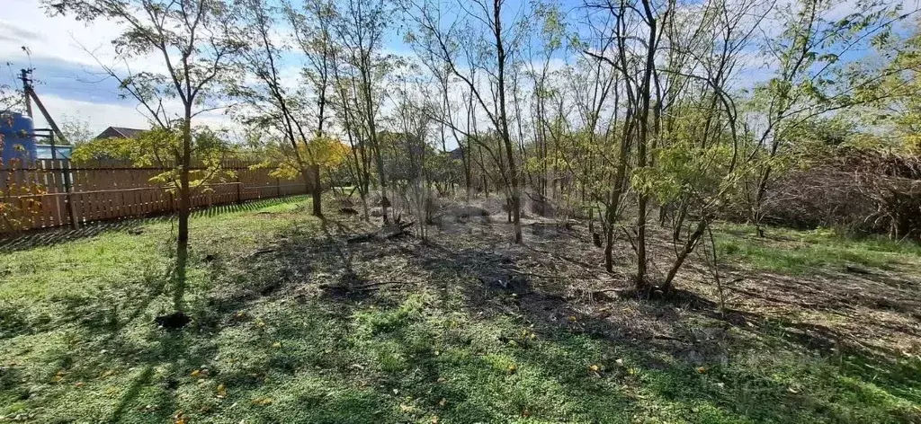 Участок в Ростовская область, Азовский район, Задонское с/пос, с. ... - Фото 2
