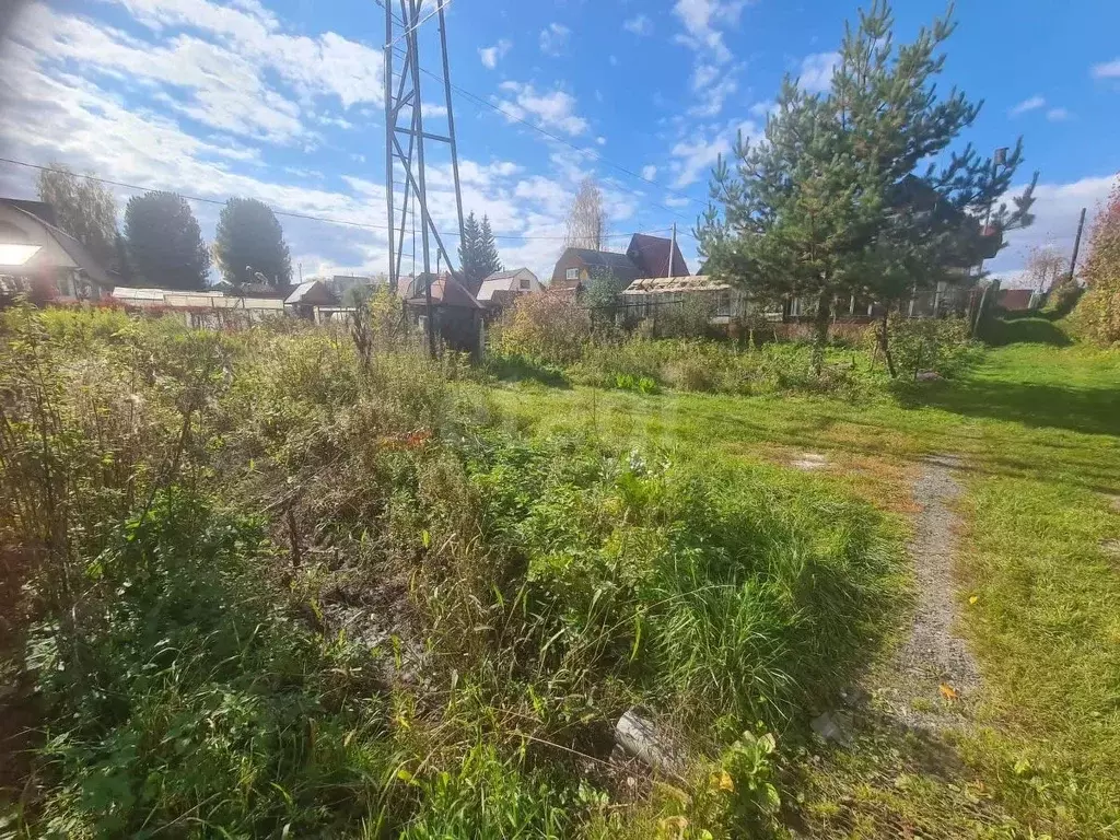 Участок в Новосибирская область, Новосибирский район, с. Раздольное  ... - Фото 1