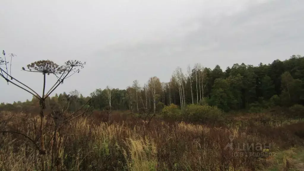 Участок в Московская область, Рузский муниципальный округ, д. ... - Фото 1