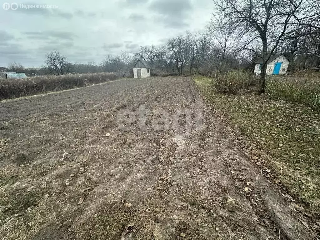 Дом в Брянский район, Мичуринское сельское поселение, СДТ Мичуринец ... - Фото 1