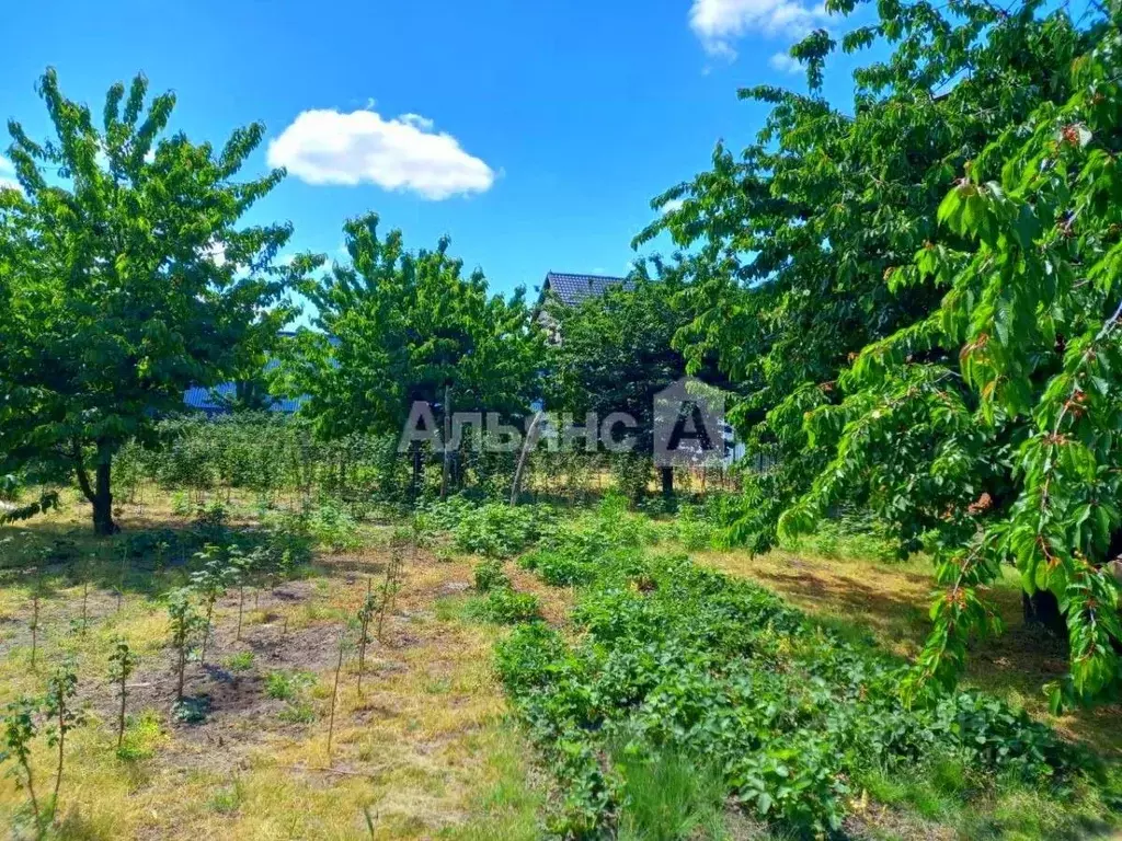 Дом в Краснодарский край, Усть-Лабинский район, Ладожское с/пос, ... - Фото 2