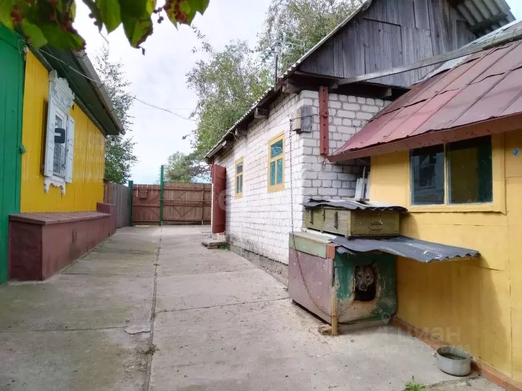 Дом в Амурская область, Свободный Перская ул., 12 (29 м) - Фото 1