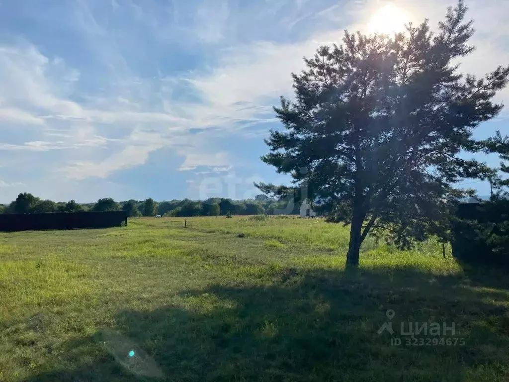 Участок в Калужская область, Дзержинский муниципальный округ, с. ... - Фото 1
